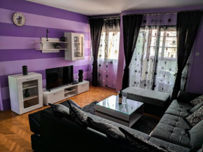 Apartment Branka